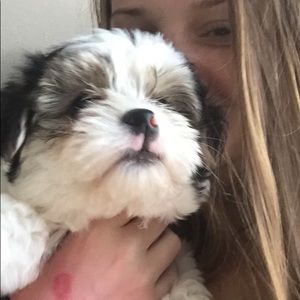 Meet your Posher, Sydney